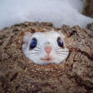 Meet your Posher, Grant